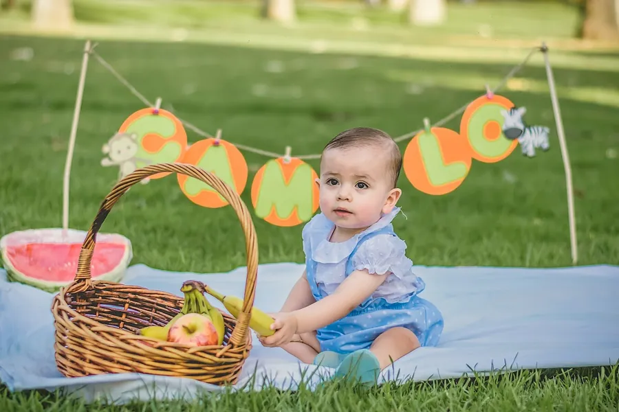 Un bebé sentado sobre una manta de picnic en el césped
